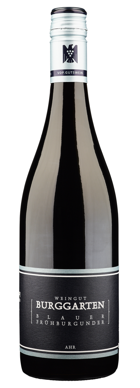 Blauer Frühburgunder